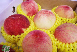 毛桃的皮能吃吗?,毛桃的皮可以吃吗 毛桃的皮能吃吗?,毛桃的皮可以吃吗