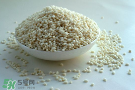 一斤糯米要放多少酒曲,1斤糯米放多少酒曲才能做好米酒