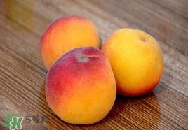 吃完杏子能喝牛奶吗?,吃了杏仁可以喝牛奶吗