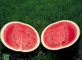 杏和西瓜能一起吃吗吃,杏和西瓜能一起吃吗