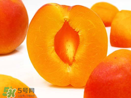 冬桃什么时候成熟,11月份晚熟李子有哪些