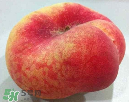 盘桃是蟠桃吗,盘桃和蟠桃