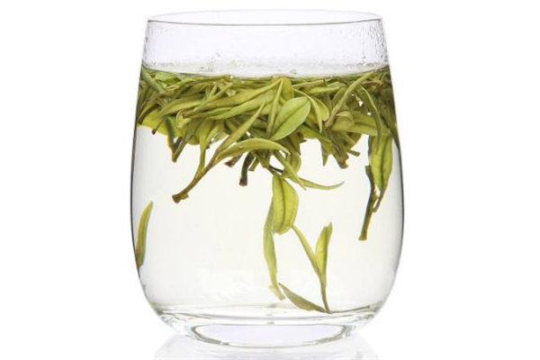 真正的白茶产地哪里,什么地方的白茶最好