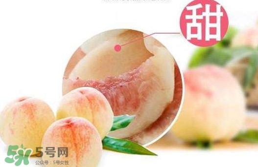 水蜜桃价格是多少钱一斤,无锡水蜜桃哪里正宗