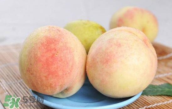 无锡阳山水蜜桃多少钱一斤,阳山水蜜桃多少钱一斤无