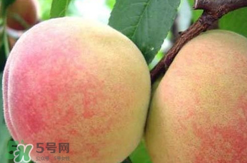 无锡阳山水蜜桃几月份上市,阳山水蜜桃几月份上市什么价格