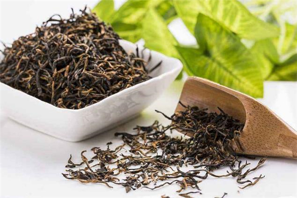 白茶适合什么季节喝,白茶什么季节喝