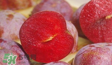 钱排三华李几月份成熟,三华李多少钱一斤2020