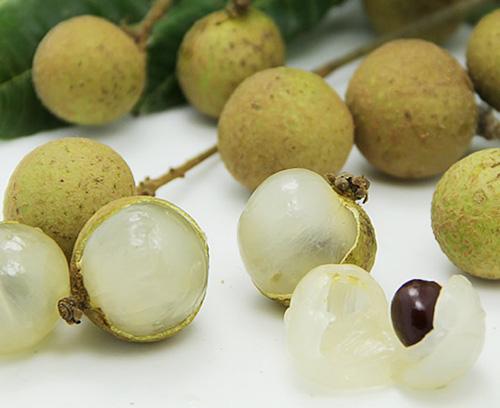 龙眼和桂圆的区别是什么,龙眼和桂圆是同一种吗 龙眼和桂圆的区别是什么,龙眼和桂圆是同一种吗