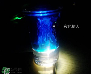 僵尸鸡尾酒配方做法简单,僵尸鸡尾酒喝法