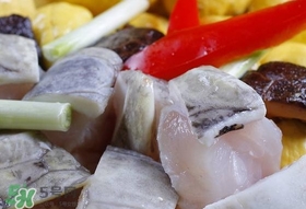 鳄鱼肉有刺吗,鳄鱼身上有刺吗