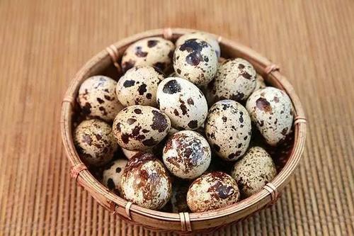 艾条发霉晒过还能用吗(艾条发霉晒过可以用吗)