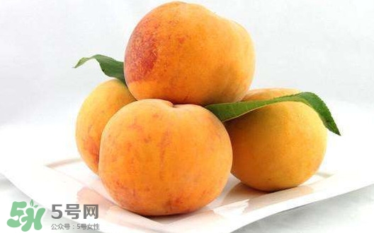 黄桃几月份成熟,湖南黄桃什么季节成熟 黄桃几月份成熟,湖南黄桃什么季节成熟