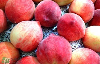 水蜜桃产地哪里最好,水蜜桃三大产地