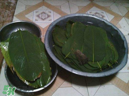 干粽叶怎么处理最好,棕榈叶怎么处理干