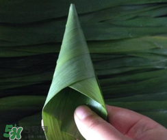 粽子叶能冷冻吗?,冰箱冷冻过的粽子叶怎么处理 粽子叶能冷冻吗?,冰箱冷冻过的粽子叶怎么处理