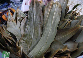 粽叶可以反复用吗,粽叶可以反复使用吗?