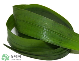 粽叶有几种,粽叶的种类