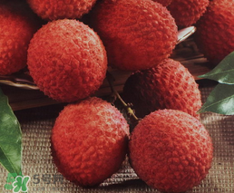 荔枝一天吃多少合适?,荔枝一天吃多少颗合适