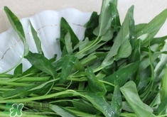 空心菜不能跟什么同食,空心菜忌和什么一起吃 空心菜不能跟什么同食,空心菜忌和什么一起吃