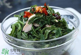 苦菜怎么保存方法,苦菜怎么保存能放的时间长一点