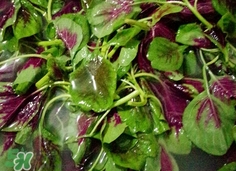 什么菜是不是发物,有哪些荤菜不是发物