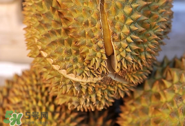 榴莲单价多少钱一斤,榴莲多少一斤市场价