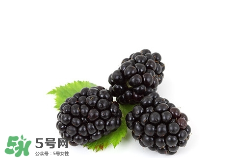 山莓和树莓,树莓和黑莓的区别