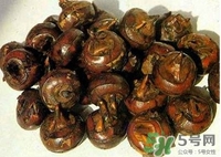 马蹄孕妇能吃吗?,冰糖马蹄孕妇能吃吗