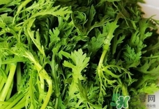 蓬花菜的做法大全窍门,蓬花菜的做法
