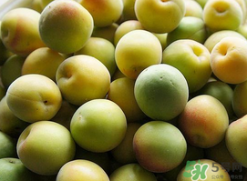 梅子不能和什么一起吃吗,梅子酒不能和哪些食物一起吃