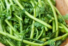 蓬花菜的营养和功效,什么人不宜吃蓬花菜