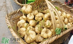 土瓜怎么做好吃又简单,土瓜怎么做好吃