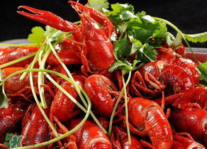 周黑鸭小龙虾多少钱一斤,周黑鸭多少钱一只