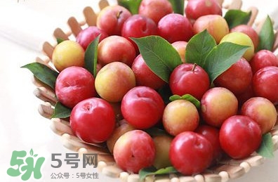 月经期可以吃三华李吗?