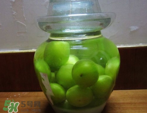 三华李可以泡酒吗,三华李泡酒有什么功效