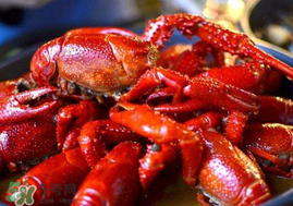 钓小龙虾的最佳几月份,小龙虾在哪钓