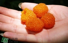 空心线多少钱一斤,空心碳多少钱一斤