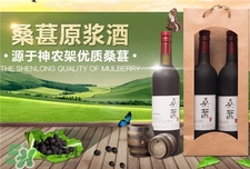 桑葚酒的用处,揭秘桑葚酒到底有哪些功效和作用