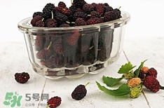 自酿桑葚酒的危害有哪些,喝自制的桑葚酒中毒