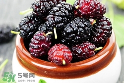 桑葚怎么晒干的方法,桑葚怎样晒成干