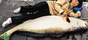 金钱植物怎么养殖,金钱兜的养植方法