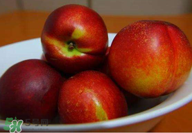 油桃是热性还是凉性水果,油桃是热性还是凉性水果的功效是什么