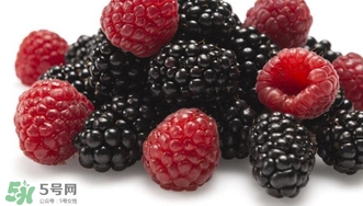 覆盆子是野草莓吗,覆盆子和野草莓的区别