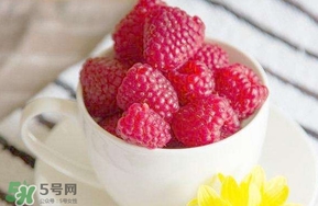 什么是覆盆子,覆盆子是什么水果 什么是覆盆子,覆盆子是什么水果