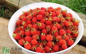 山莓是覆盆子吗,山莓和覆盆子