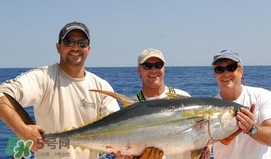 黄唇鱼为什么这么贵,黄唇鱼和黄花鱼哪个贵