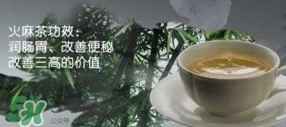 桑葚火麻茶多少钱一盒,桑葚火麻茶作用和功效