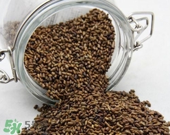 决明子泡水喝要炒熟吗?,决明子泡水喝需要炒熟吗