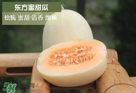 甜瓜可以带上飞机吗?,南瓜可以带上飞机吗?